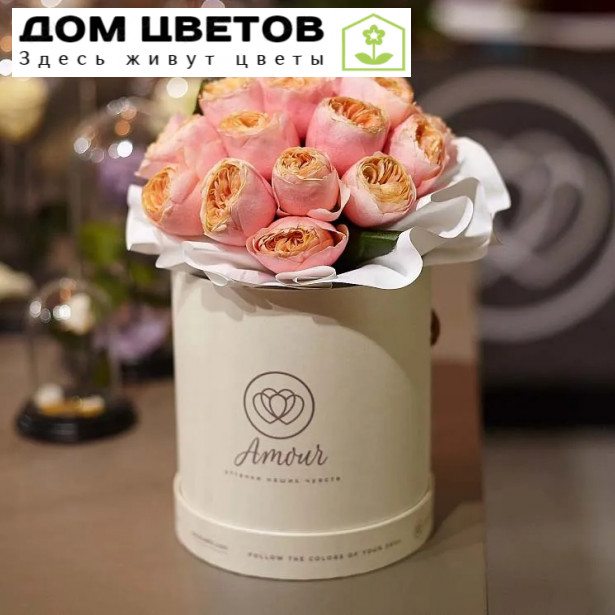 Букет в белой шляпной коробке Amour Mini из 25 пионовидных роз Vuvuzela