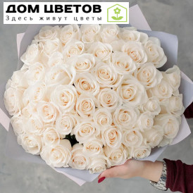Букет из 51 белой розы Vendela 50 см (Эквадор)