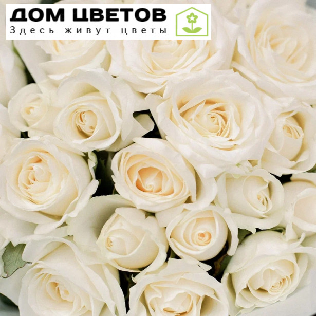 Букет из 25 белых роз 60 см (Россия)