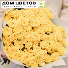 Букет из 25 желтых кустовых роз 40 см (Эквадор)