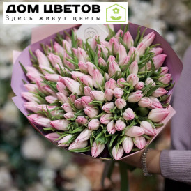 101 нежно-розовый тюльпан