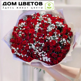 Букет из 101 красной розы 40 см (Кения) с белой гипсофилой