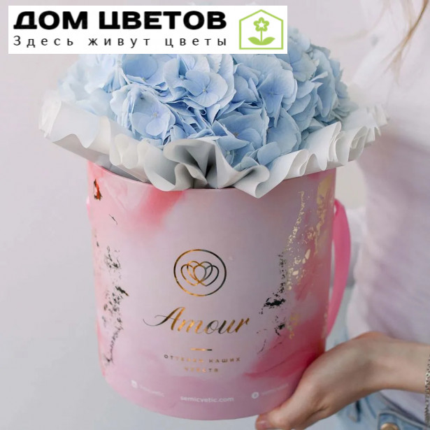 Букет в розовой шляпной коробке Amour Mini из 3 голубых гортензий