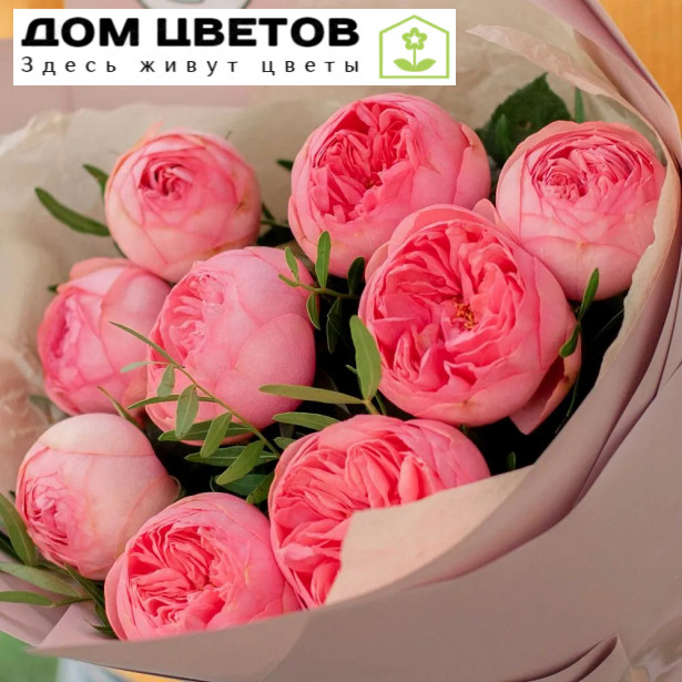 9 ярко-розовых одноголовых пионовидных роз Pink Piano 40 см с фисташкой