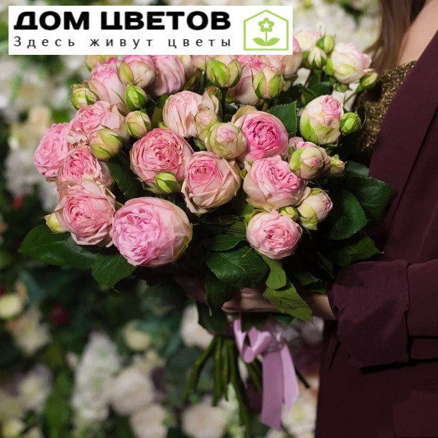 25 пионовидных роз Bridal Piano 50 см